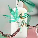 Sober - Daily Shower Lotion - Douchegel - 250 ml - Heren