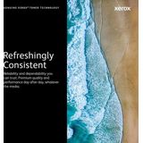 Toner Xerox 006R04359 Yellow