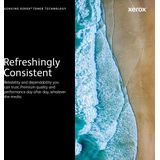 Toner Xerox 006R04366 Magenta