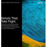 Xerox 006R04394 tonercartridge 1 stuk(s) Origineel