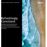 Xerox - 106R03921 - Toner - Magenta - Extra Hoge Capaciteit - 16800 Pagina's