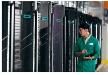 HPE - NS204i-u - Server Accessoires - 2x 480 GB M.2 NVMe-SSD