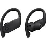 Beats Powerbeats Pro Totally Wireless Earphones - Black