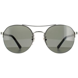 Police Aviator Heren Shiny Full Palladium Smoke Gray SPLA24 Lewis 03 | Sunglasses