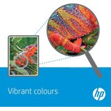 HP - 991X Original - Magenta High-capacity - Voor Professionele Kleurenprints