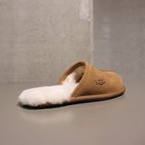 UGG - Scuff - Pantoffel - Brown - Suede - Voering van Wol