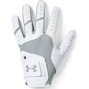 Under Armour Heren Tour Cool Golfhandschoen Handschoen, Steel, RSM