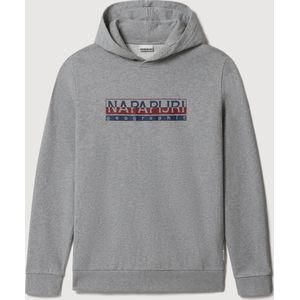 Geografische Hoodie Grijs