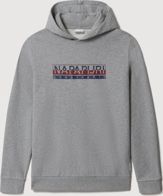 Geografische Hoodie Grijs