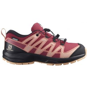 Salomon Xa Pro V8 Cswp Hiking Shoes Rood EU 39