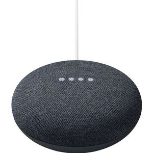 Google Nest Mini Grijs