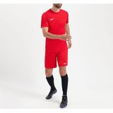 Nike - M Nk Df Park Vii Jsy Ss - Sportshirt - Rood - Polyester