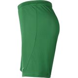 Dri-FIT Park III Short