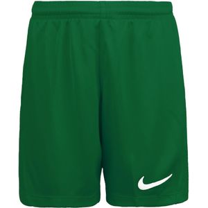 Nike Dri-FIT Park III Kinder-Shorts grün Polyester (147 - Junior)
