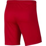 Sportbroeken - Rood - 100% Gerecycled Polyester - Dri-FIT Technologie