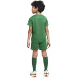 Nike - DRY PARK 20 - Tenue - Groen - Dri-FIT Materiaal