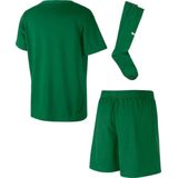 Nike - DRY PARK 20 - Tenue - Groen - Dri-FIT Materiaal