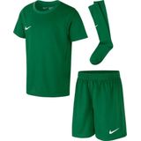 Nike - DRY PARK 20 - Tenue - Groen - Dri-FIT Materiaal