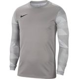 Nike Park IV Voetbalshirt Keepers Lange Mouwen Grijs Zwart