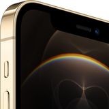 Apple - iPhone 12 Pro - Smartphone - Goud - 256 GB - A14 Bionic Chip