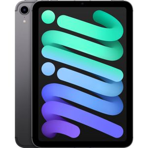 Apple iPad mini (2021) inch WiFi 64GB Spacegrijs