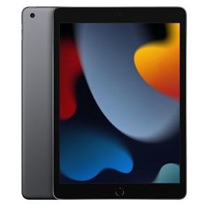 2021 Apple iPad (10,2‑inch, Wi-Fi, 64 GB) - spacegrijs (9e generatie) (Renewed)