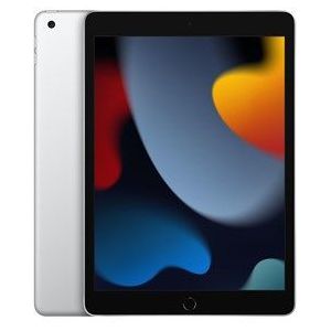 2021 Apple iPad (10.2-inch, Wi-Fi, 64GB) - Zilver (Renewed)