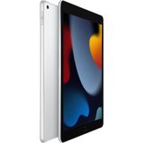 Apple iPad 10.2 (9e generatie) WiFi 256 GB Zilver iPad 25.9 cm (10.2 inch) iPadOS 15 2160 x 1620 Pixel