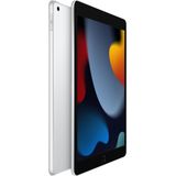 Outlet: Apple iPad (2021) - 256 GB - Wi-Fi - Zilver
