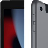 Apple - iPad (2021) - Wi-Fi + Cellular - 256GB - Grijs