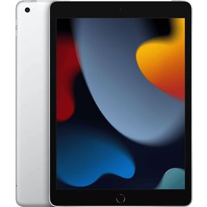 Apple iPad (2021) wifi + 4G 256GB zilver