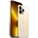 Apple iPhone 13 Pro Max - Grafiet 256 GB Goud