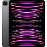 Apple iPad Pro (2022) inch WiFi 256GB Spacegrijs