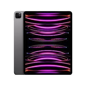 Apple iPad Pro 12.9 6.Gen (2022) WiFi 32,8 cm (12,9 Zoll) 256 GB spacegrau
