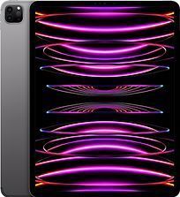 Apple iPad Pro (2022) inch WiFi 256GB Spacegrijs