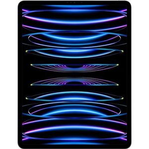 Apple iPad Pro 12,9 512GB [wifi + cellular, model 2022] zilver