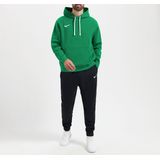 Nike Fleece Park 20 Hoodie Heren