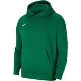 Nike - Park 20 Fleece Hoodie Junior - Groene Trui