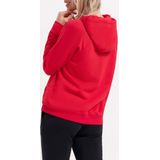 Nike Nike Fleece Park 20 Trui Vrouwen