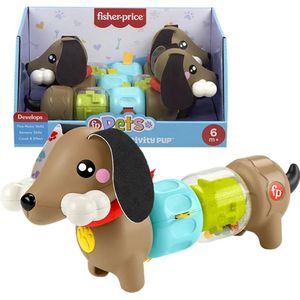 Fisher-Price Zintuiglijk babyspeelgoed, FP Pets Klikken en Draaien Puppy, activiteiten voor de fijne motoriek, voor baby's vanaf 6 maanden, HTW91