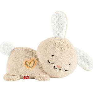 Fisher-Price Kalmerend Konijntje - Interactieve white noise knuffel