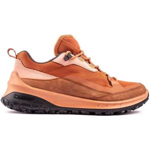 ECCO ULT-trn W Low Wp Outdoor Shoe voor dames, sierra, 39 EU