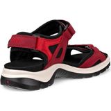 ECCO - Receptor - Sportschoenen - Zwart - Leer