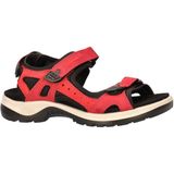 ECCO - Receptor - Sportschoenen - Zwart - Leer