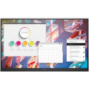 HP E24 G4 (") 1920 x 1080 Pixels Full HD Zwart, Zilver ZONDER STANDAARD