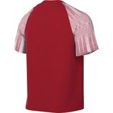 Nike Dri-Fit Academy Sportshirt Mannen