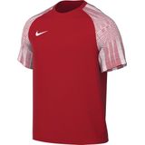 Nike Dri-Fit Academy Sportshirt Mannen