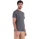 Icebreaker Merino 150 Tech Lite Iii T-shirt Met Korte Mouwen Grijs S Man