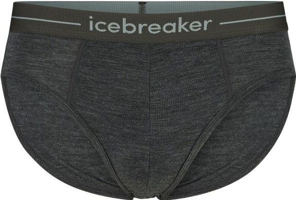 Icebreaker - Anatomica Briefs - Merino-ondergoed - Grijs