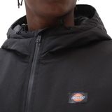 Dickies - New Sarpy - Bomberjack - Brown Duck - Waterdicht